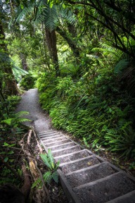 blog_neuseeland_2017_20171230_120255 blog_neuseeland_2017_20171230_120255