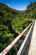 blog_neuseeland_2017_20171230_155719 blog_neuseeland_2017_20171230_155719