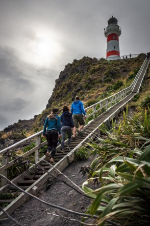 blog_neuseeland_2017_20171231_163934 blog_neuseeland_2017_20171231_163934