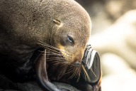 blog_neuseeland_2017_20180101_090535 blog_neuseeland_2017_20180101_090535