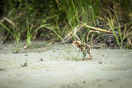 blog_neuseeland_2017_20180101_112651 blog_neuseeland_2017_20180101_112651