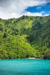 blog_neuseeland_2017_20180102_094120 blog_neuseeland_2017_20180102_094120