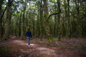 blog_neuseeland_2017_20180104_080852 blog_neuseeland_2017_20180104_080852