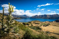 blog_neuseeland_2017_20180108_093134 blog_neuseeland_2017_20180108_093134