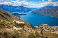 blog_neuseeland_2017_20180108_135123 blog_neuseeland_2017_20180108_135123