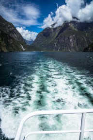 blog_neuseeland_2017_20180110_142031 blog_neuseeland_2017_20180110_142031