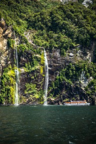 blog_neuseeland_2017_20180110_144045 blog_neuseeland_2017_20180110_144045