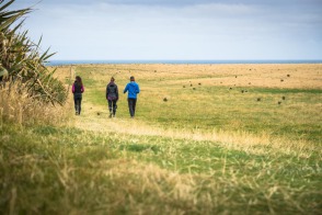 blog_neuseeland_2017_20180111_122538 blog_neuseeland_2017_20180111_122538