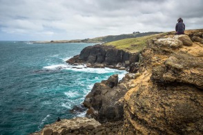 blog_neuseeland_2017_20180111_123851 blog_neuseeland_2017_20180111_123851