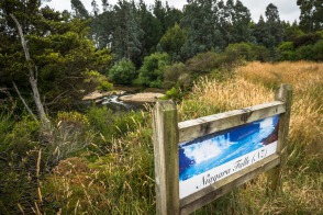 blog_neuseeland_2017_20180111_133944 blog_neuseeland_2017_20180111_133944