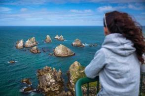 blog_neuseeland_2017_20180111_154002 blog_neuseeland_2017_20180111_154002