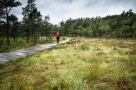 blog_norwegen_20160822_150008 blog_norwegen_20160822_150008