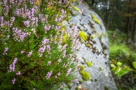 blog_norwegen_20160822_152459 blog_norwegen_20160822_152459