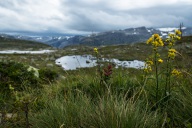 blog_norwegen_20160824_123710 blog_norwegen_20160824_123710