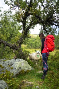 blog_norwegen_20160827_122711 blog_norwegen_20160827_122711