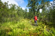 blog_norwegen_20160827_124105 blog_norwegen_20160827_124105