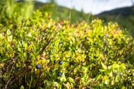 blog_norwegen_20160827_125042 blog_norwegen_20160827_125042