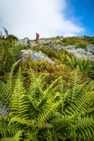 blog_norwegen_20160827_125238 blog_norwegen_20160827_125238