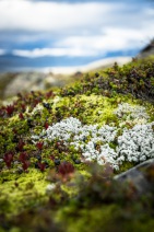 blog_norwegen_20160902_182143 blog_norwegen_20160902_182143