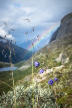 blog_norwegen_20160903_155821 blog_norwegen_20160903_155821