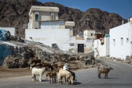 blog_oman_20150208_112108 blog_oman_20150208_112108