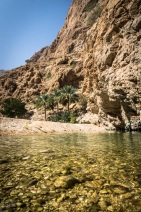 blog_oman_20150210_105942 blog_oman_20150210_105942