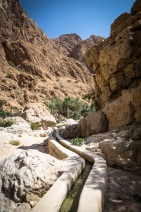 blog_oman_20150210_120157 blog_oman_20150210_120157