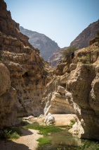 blog_oman_20150210_121041 blog_oman_20150210_121041