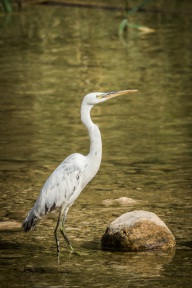 blog_oman_20150210_145102 blog_oman_20150210_145102