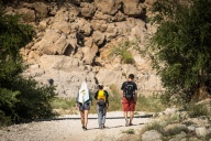 blog_oman_20150210_145442 blog_oman_20150210_145442