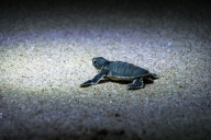 blog_oman_20150211_054426 blog_oman_20150211_054426