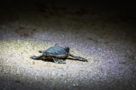 blog_oman_20150211_054611 blog_oman_20150211_054611