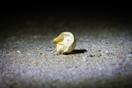 blog_oman_20150211_060441 blog_oman_20150211_060441