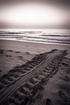 blog_oman_20150211_061750 blog_oman_20150211_061750