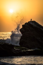 blog_oman_20150211_065419 blog_oman_20150211_065419