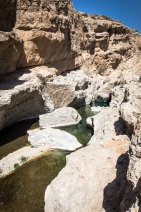 blog_oman_20150212_122954 blog_oman_20150212_122954