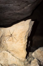 blog_oman_20150212_130531 blog_oman_20150212_130531