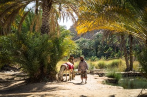 blog_oman_20150212_141405 blog_oman_20150212_141405