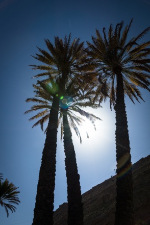 blog_oman_20150212_141833 blog_oman_20150212_141833