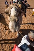 blog_oman_20150213_090053 blog_oman_20150213_090053