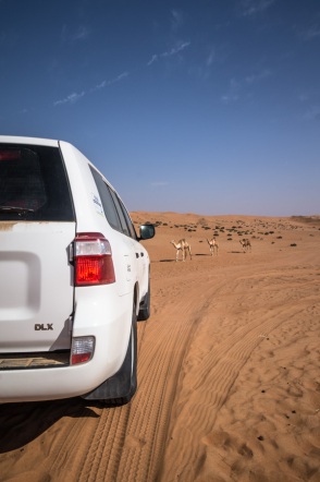 blog_oman_20150213_100015 blog_oman_20150213_100015