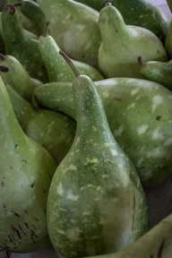 blog_oman_20150213_184508 blog_oman_20150213_184508