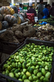 blog_oman_20150213_184828 blog_oman_20150213_184828