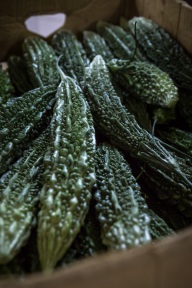 blog_oman_20150213_184912 blog_oman_20150213_184912