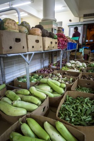 blog_oman_20150213_185022 blog_oman_20150213_185022