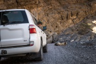 blog_oman_20150214_105902 blog_oman_20150214_105902