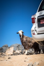 blog_oman_20150215_133803 blog_oman_20150215_133803