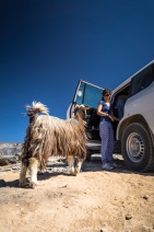 blog_oman_20150215_134110 blog_oman_20150215_134110