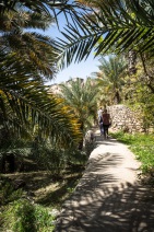 blog_oman_20150216_120403 blog_oman_20150216_120403