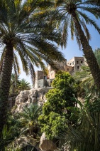 blog_oman_20150216_120651 blog_oman_20150216_120651